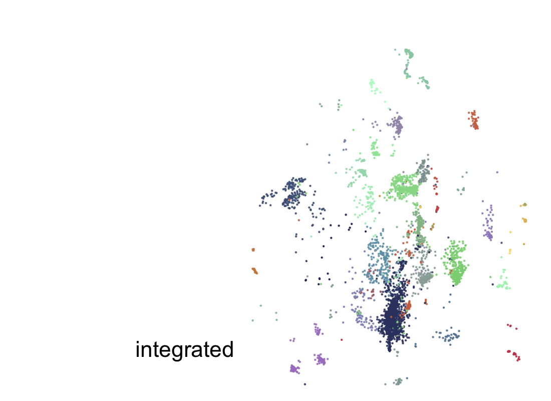 Animated collage of integrated single-cell clusters from the Arabidopsis life cycle atlas